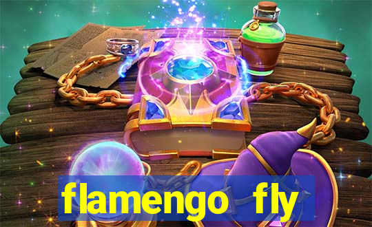 flamengo fly emirates ultimas noticias